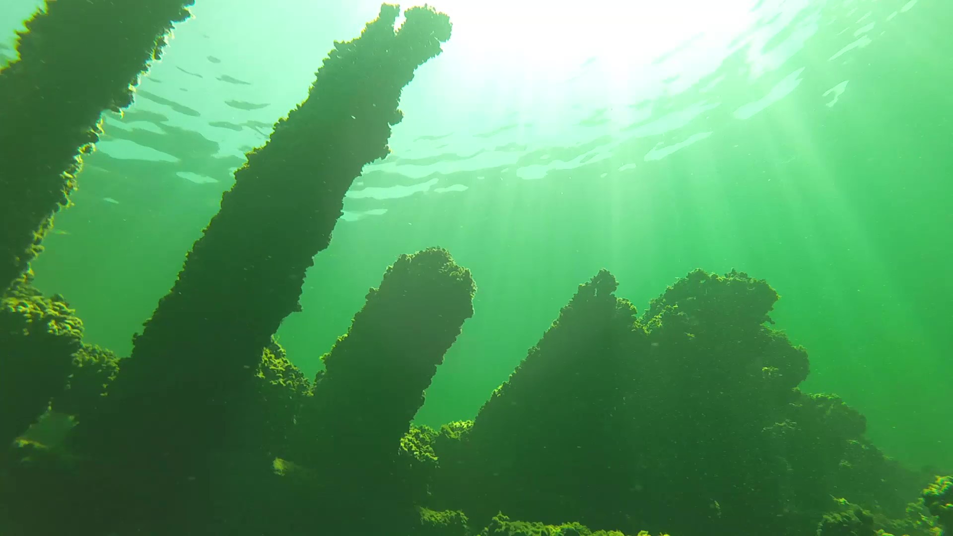 Death's Door Shipwrecks by Washington Island in Door County. Louisiana Shipwreck